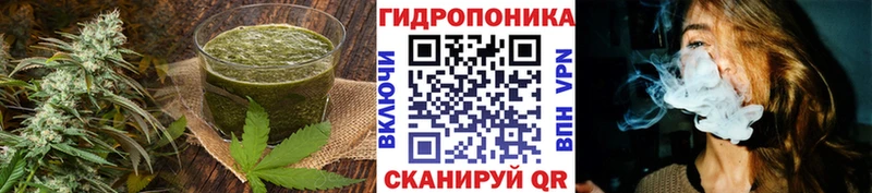 мориарти телеграм  Полярный  Cannafood марихуана 