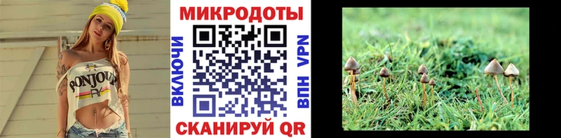 hydra tor  Полярный  Псилоцибиновые грибы мухоморы 